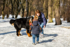 10 kinderfreundliche Hunderassen kleiner junge kommt zu einer frau die mit dem berner sennenhund spielt | Tiergesundheit Hund & Katze