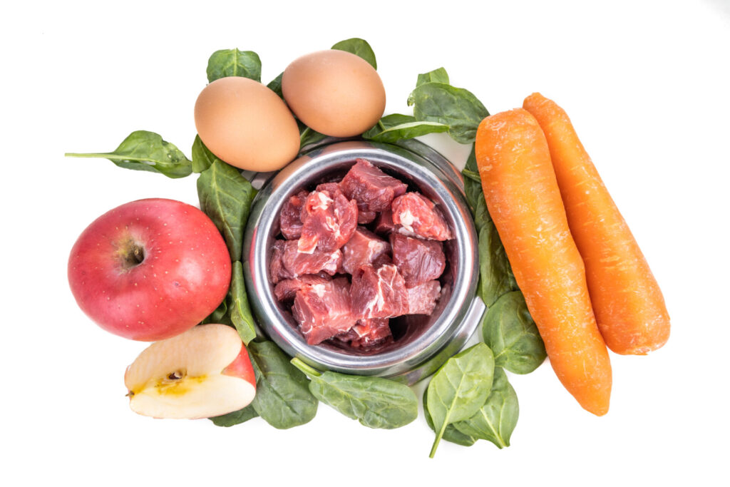 Ingredients of barf raw food recipe for dogs consisting meat, eggs and vegetable