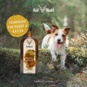 Säure-Basen-Haushalt bei Hunden und Katzen heilkraft phytomoor2 1080 | Tiergesundheit Hund & Katze